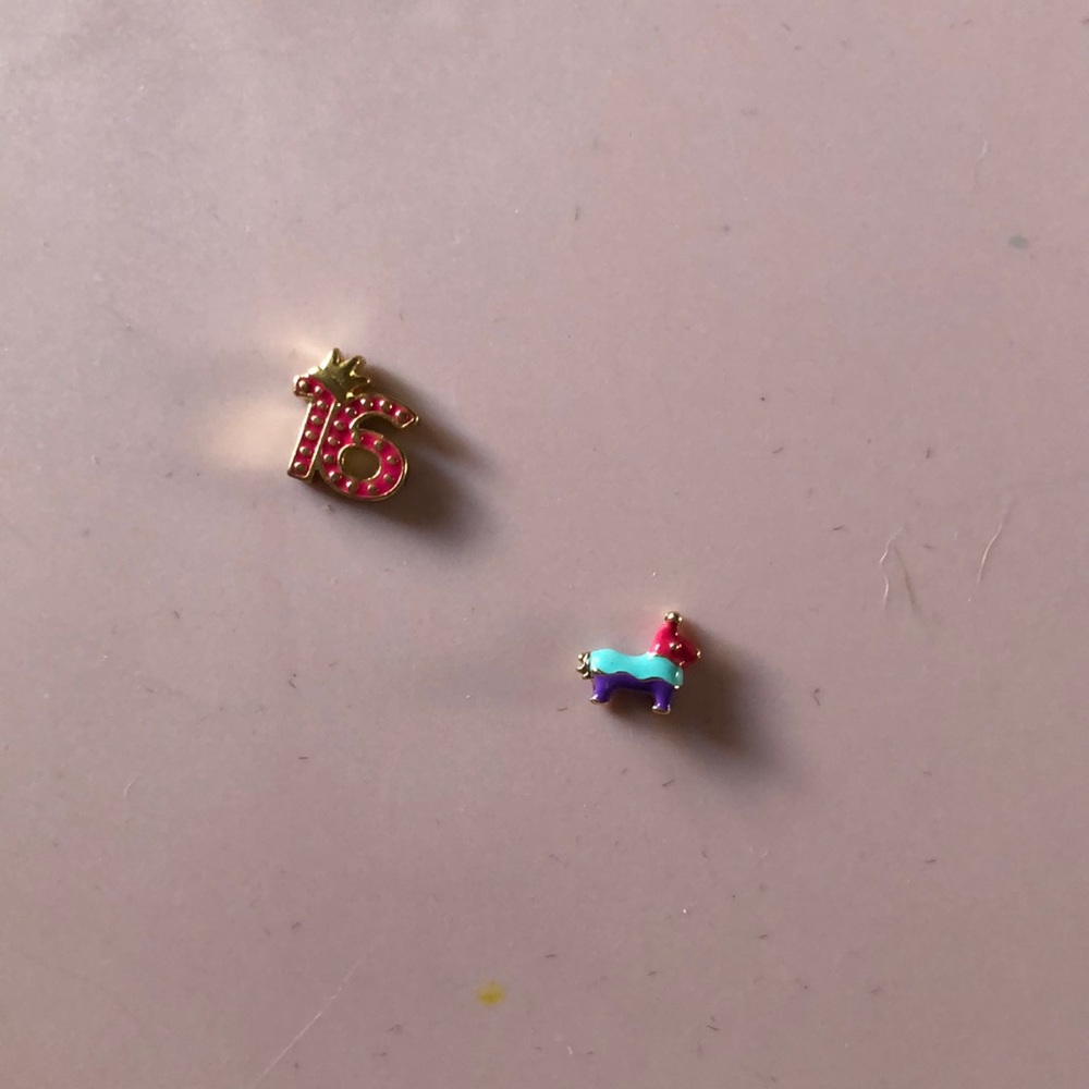 Origami Owl Charms